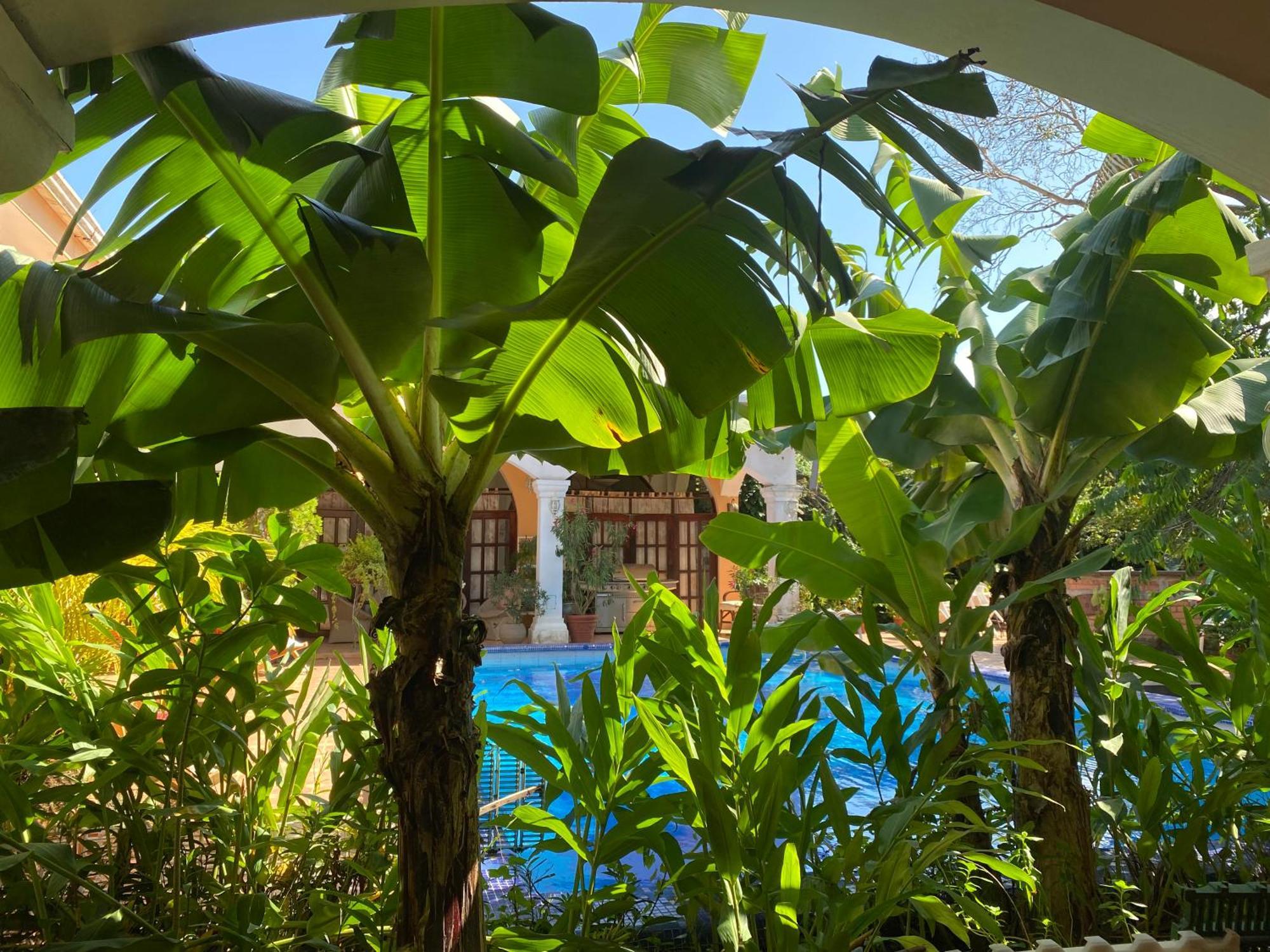 Homestay Madre Casa